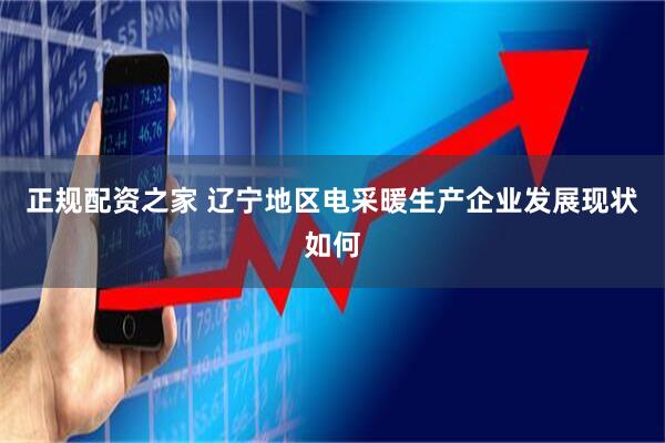 正规配资之家 辽宁地区电采暖生产企业发展现状如何